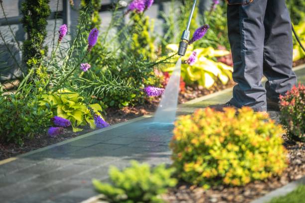 Best Parking Lot and Garage Cleaning  in Arvin, CA